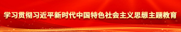 国产高肉视频学习贯彻习近平新时代中国特色社会主义思想主题教育